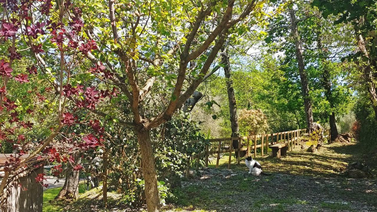 Verdeblu Country Hotel San Giovanni a Piro Bagian luar foto